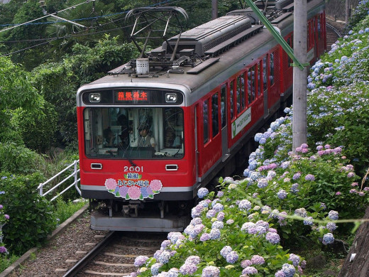 174820 (a): :1600x1200